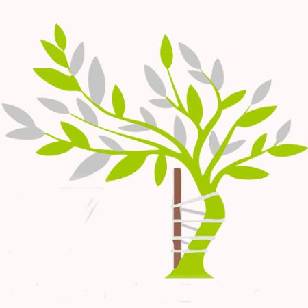 deister-docz-baum-2